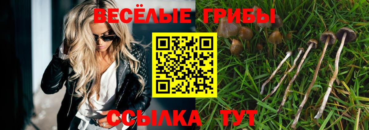 Псилоцибиновые грибы Psilocybe Егорьевск