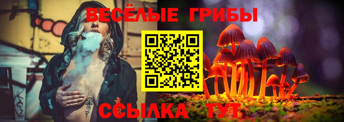 Егорьевск  Галлюциногенные грибы GOLDEN TEACHER  Псилоцибиновые грибы мицелий  Вход с VPN 